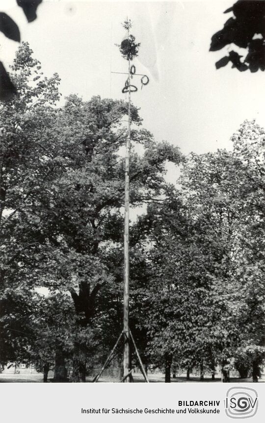 Maibaum in Groß Partwitz