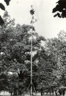 Bild: Maibaum in Groß Partwitz