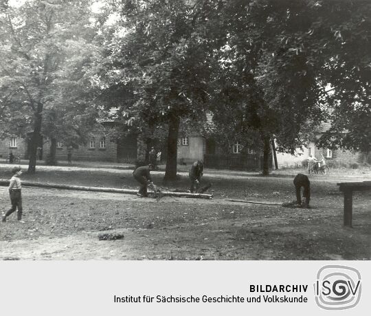 Maibaumwerfen in Groß Partwitz