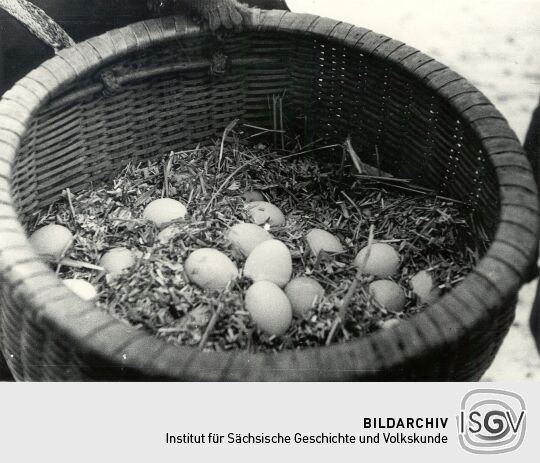 Frauenfastnacht in Groß Partwitz