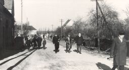 Bild: Zampern in Groß Partwitz