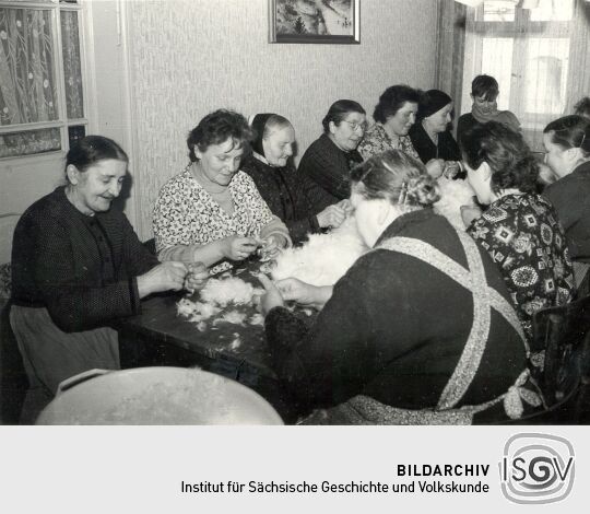 Federnschleißen in Groß Partwitz