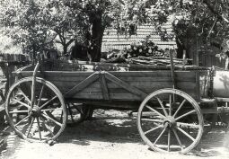 Bild: Kastenwagen aus Groß Partwitz