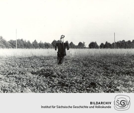 Wildscheuche in Groß Partwitz