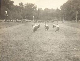 Bild: Sokoł-Turnverein in Panschwitz-Kuckau