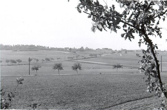 Blick auf Salzenforst