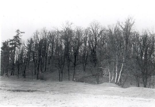 Der Burgwall in Rackel