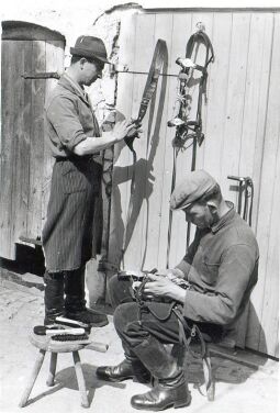 Bild: Vorbereitungen für das Osterreiten in Radibor