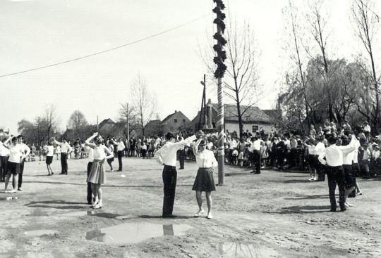 Maibaumwerfen in Cölln