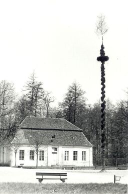 Bild: Maibaum in Neschwitz