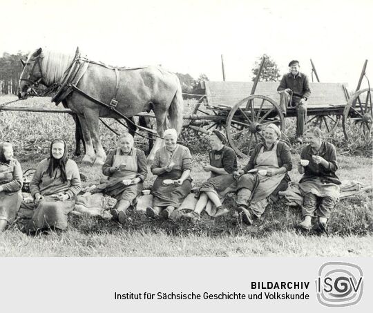 Frühstück auf dem Felde