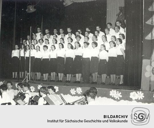 Vogelhochzeit in Bautzen