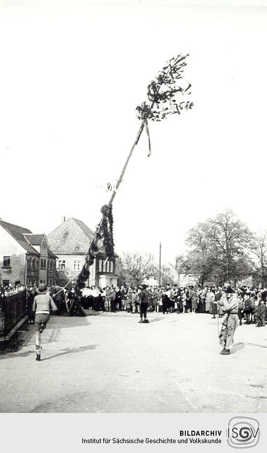 Maibaumwerfen in Radibor