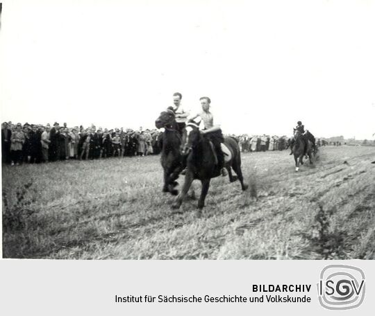 Stoppelreiten in Groß Särchen