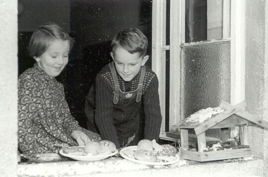 Vogelhochzeit in Purschwitz