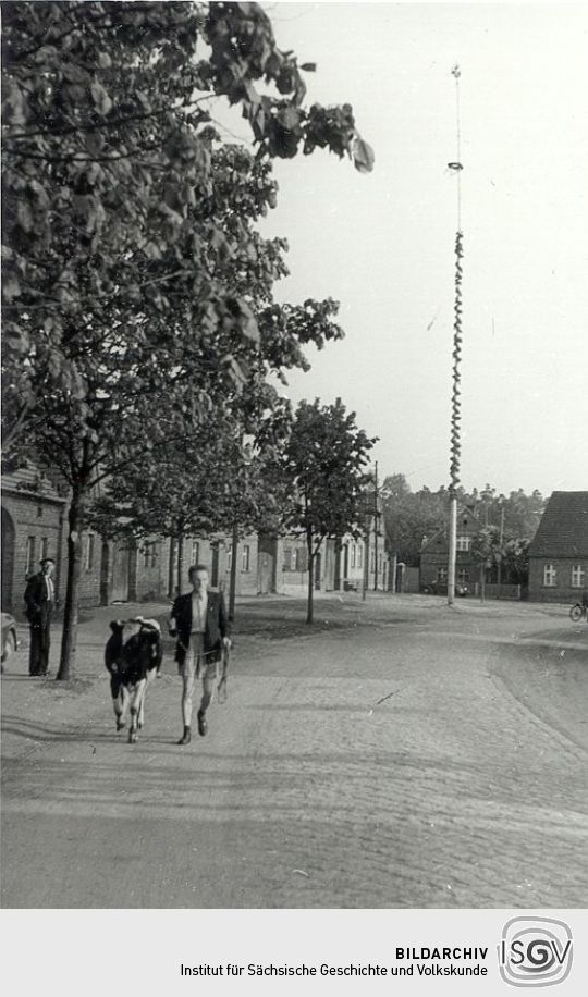 Straßenraum in Burg