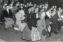 Bild: Festival der Lausitzer Jugend in Trebendorf