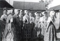 Bild: Festival der Lausitzer Jugend in Trebendorf