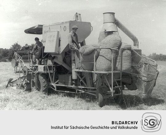 Auf dem Kornfeld der LPG