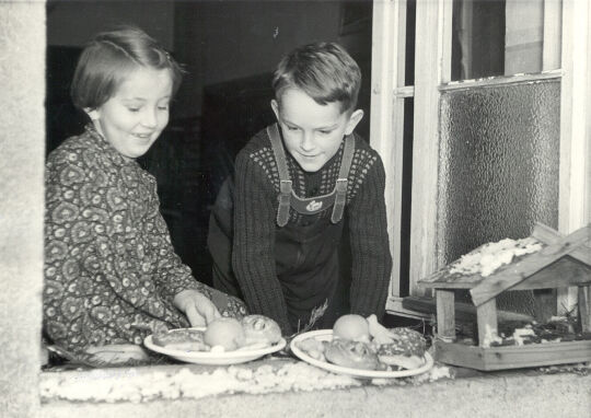 Vogelhochzeit in Purschwitz