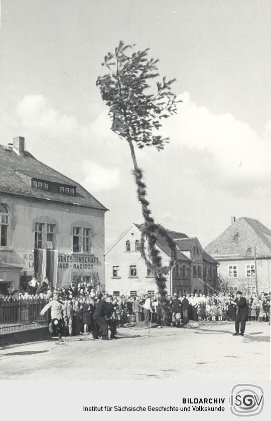 Maibaumwerfen in Radibor