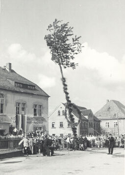 Bild: Maibaumwerfen in Radibor