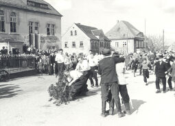 Bild: Maibaumwerfen in Radibor