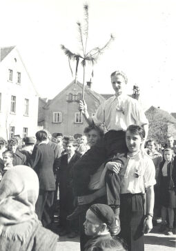 Bild: Maibaumwerfen in Radibor