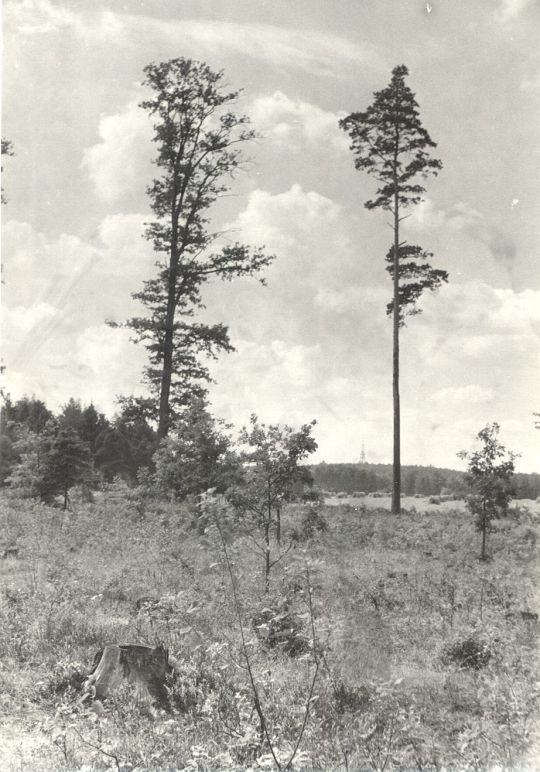 Landschaft bei Schönau