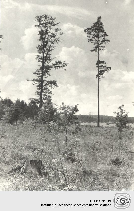 Landschaft bei Schönau