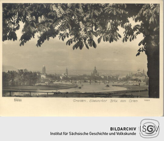 Blick auf Dresden