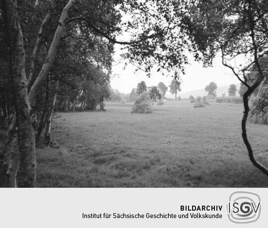 Ortsansicht von Fürstenau