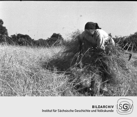 Ansicht von Arbeitenden in Rehefeld