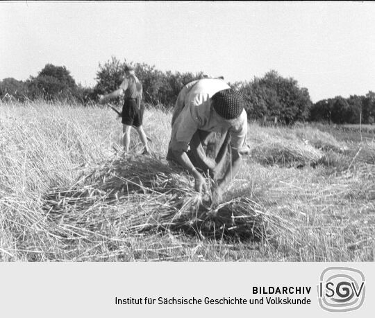 Ansicht von Arbeitenden in Rehefeld