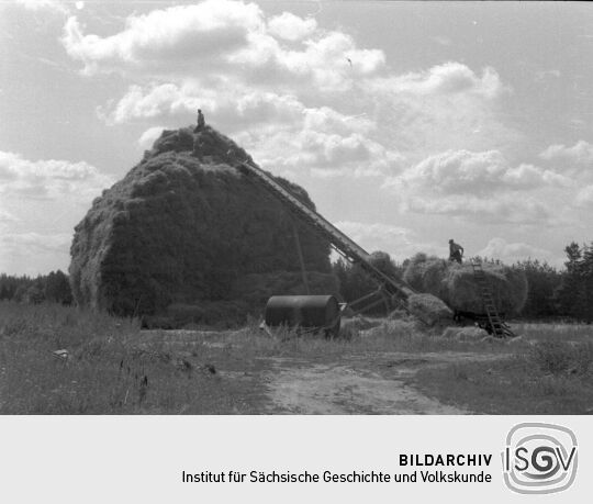 Ansicht von Arbeitenden in Holzhau