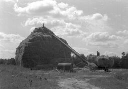 Bild: Ansicht von Arbeitenden in Holzhau
