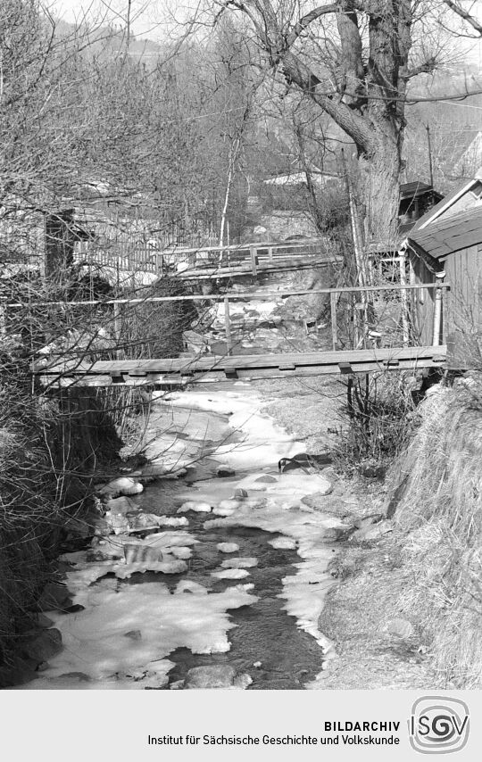 Gewässeransicht in Geising