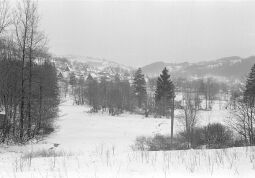Bild: Ortsansicht in Geising