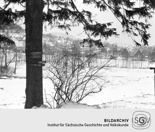 Ortsansicht in Geising