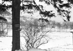 Bild: Ortsansicht in Geising