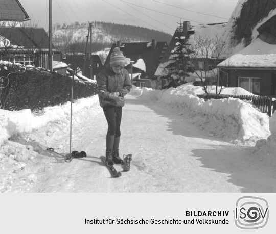 Ortsansicht in Geising