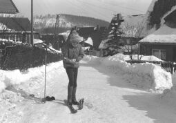 Bild: Ortsansicht in Geising