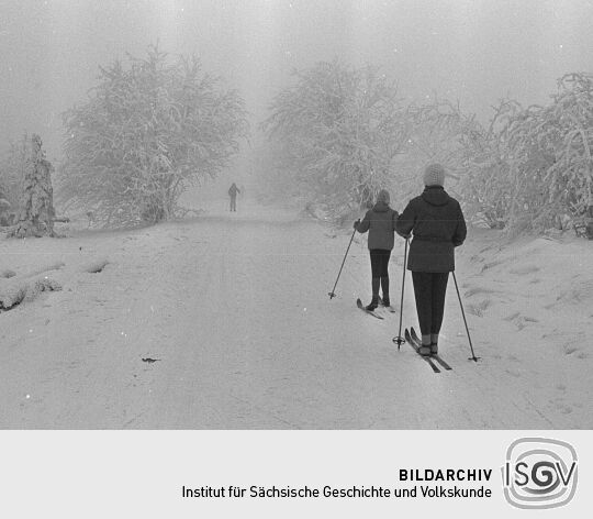Landschaftsansicht bei Zinnwald-Georgenfeld