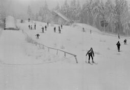 Bild: Skihang in Altenberg