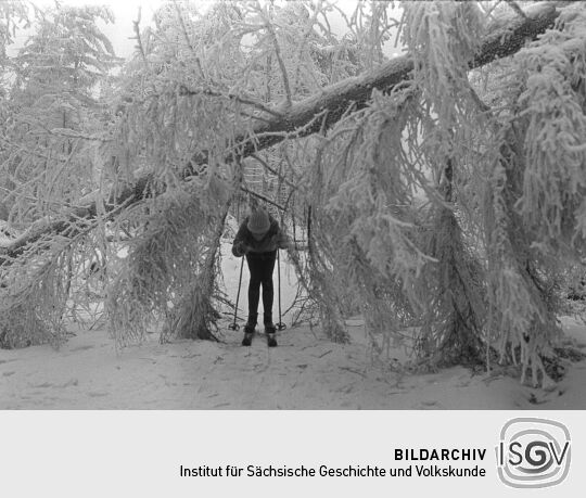 Landschaftsansicht mit Wintersportlerin bei Zinnwald-Georgenfeld