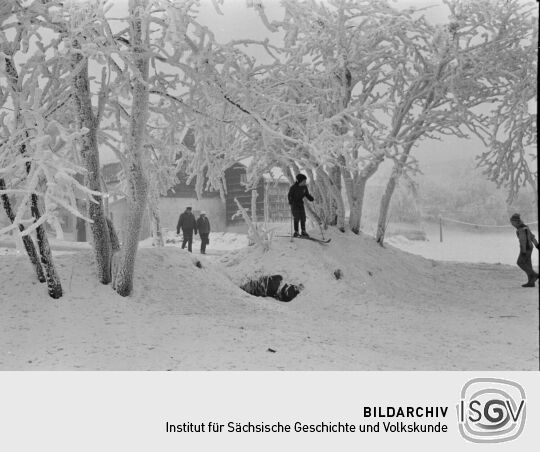 Ortsansicht in Schellerhau