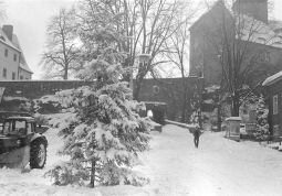 Bild: Ortsansicht in Hohnstein