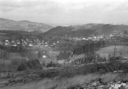 Bild: Landschaftsansicht in Geising