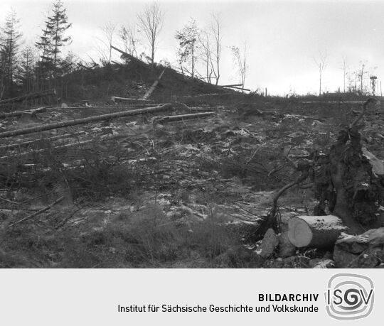 Ansicht der Kohlhaukuppe in Geising