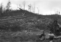 Bild: Ansicht der Kohlhaukuppe in Geising